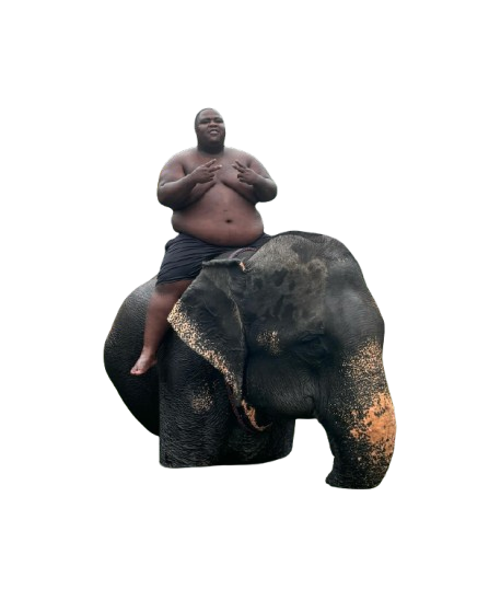 Icon 1